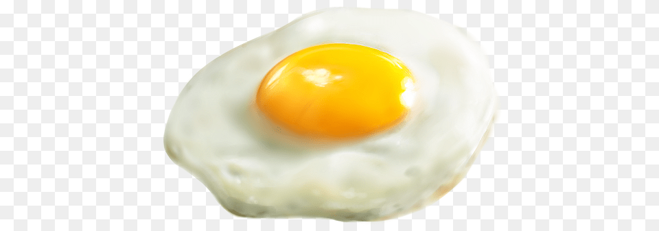My Friend Asked Me To Draw A Fried Egg Fried Egg, Food, Fried Egg, Plate Free Transparent Png