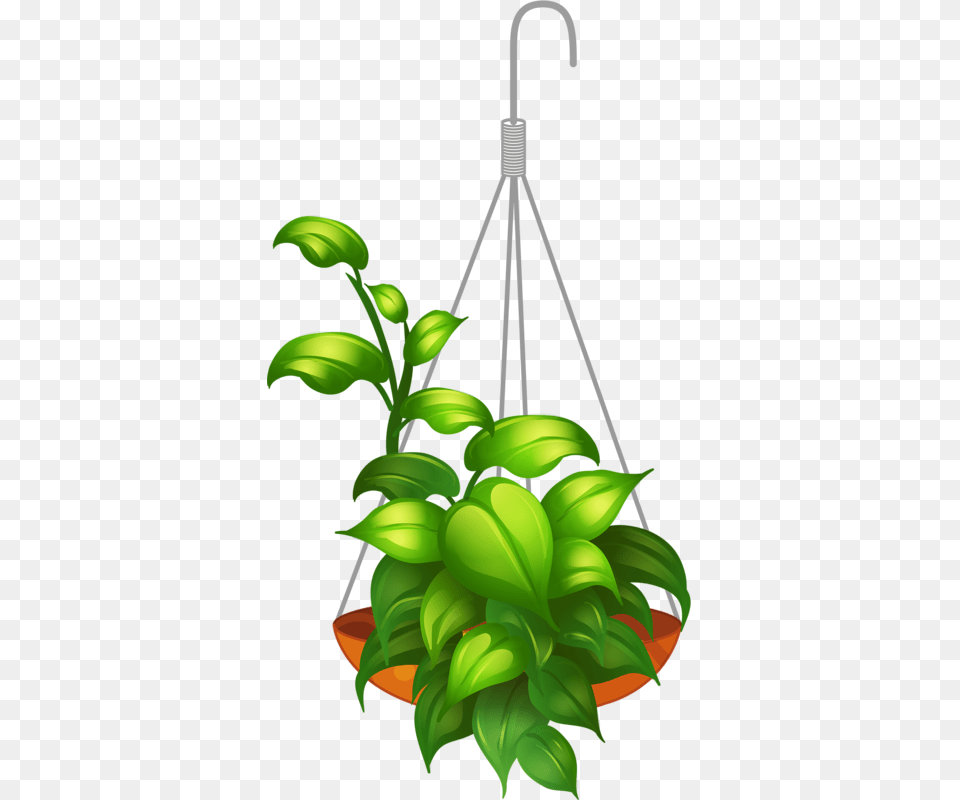 My Garden Valley, Green, Jar, Leaf, Plant Free Png