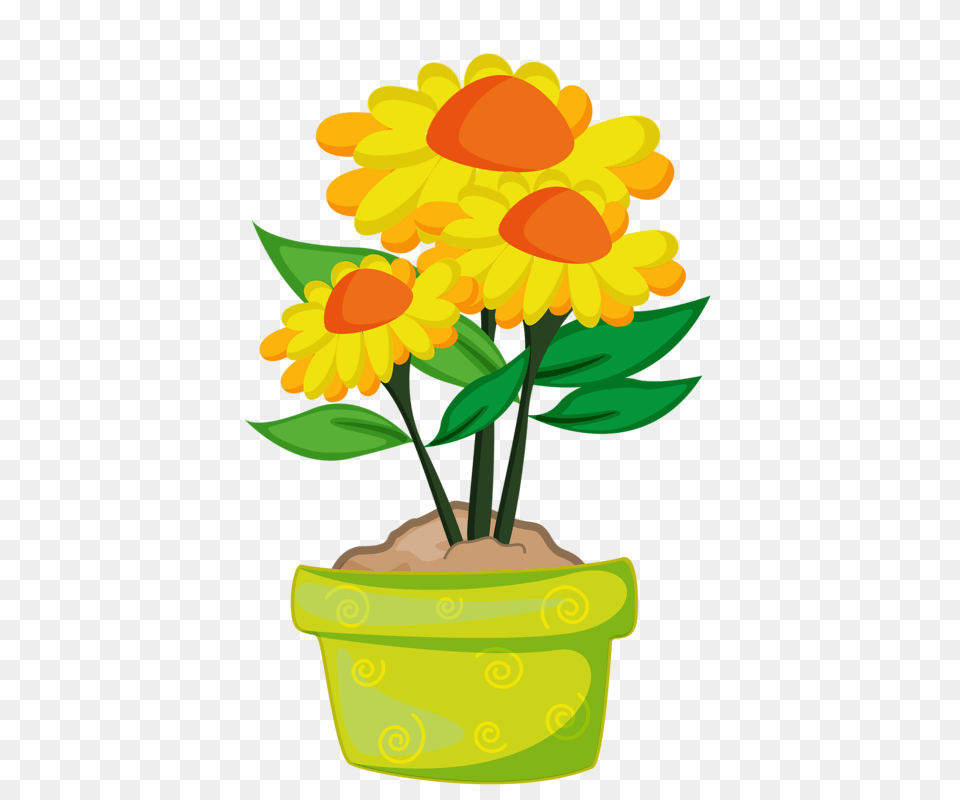 My Garden Valley Flowers Flower, Daisy, Plant, Potted Plant, Petal Free Png