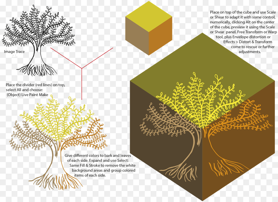 My Images For Federicoplaton Adobe Support Community Diagram, Plant, Tree, Vegetation, Pattern Png