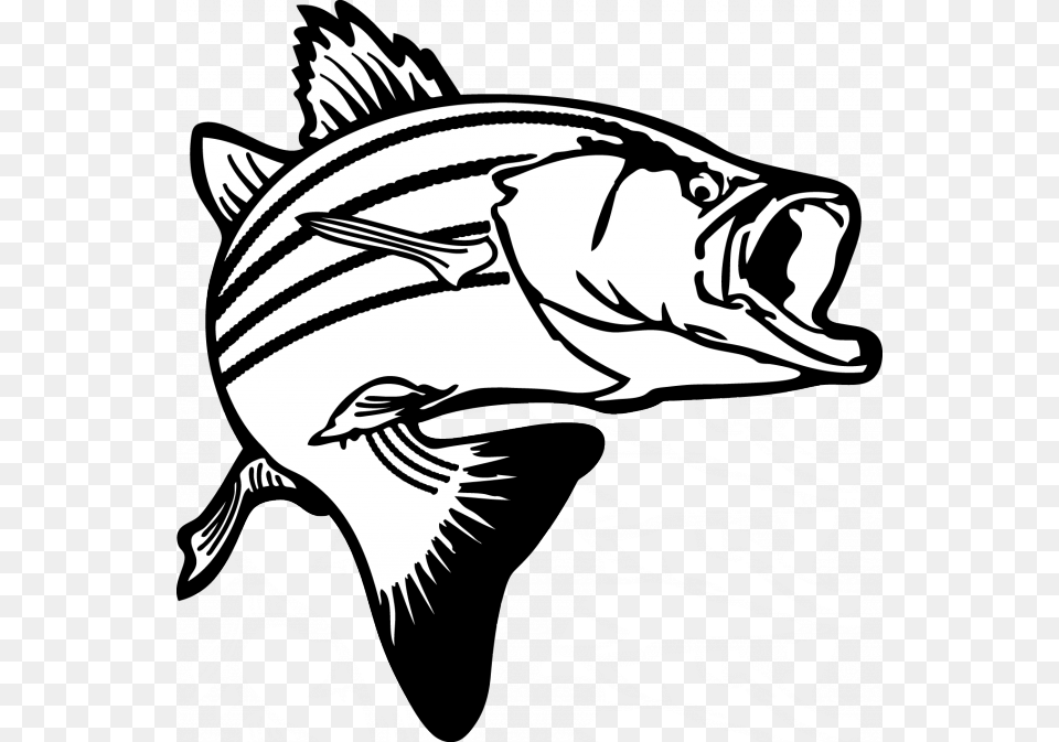 My Inspiration Fish Fish, Person, Animal, Sea Life, Tuna Free Png Download