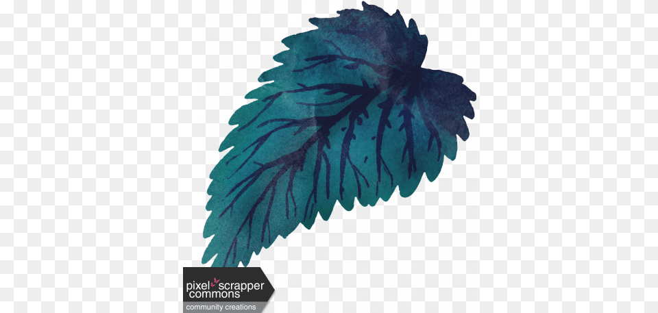 My Life Palette Watercolor Leaf Teal And Navy Graphic By Art, Plant, Outdoors, Herbal, Herbs Png