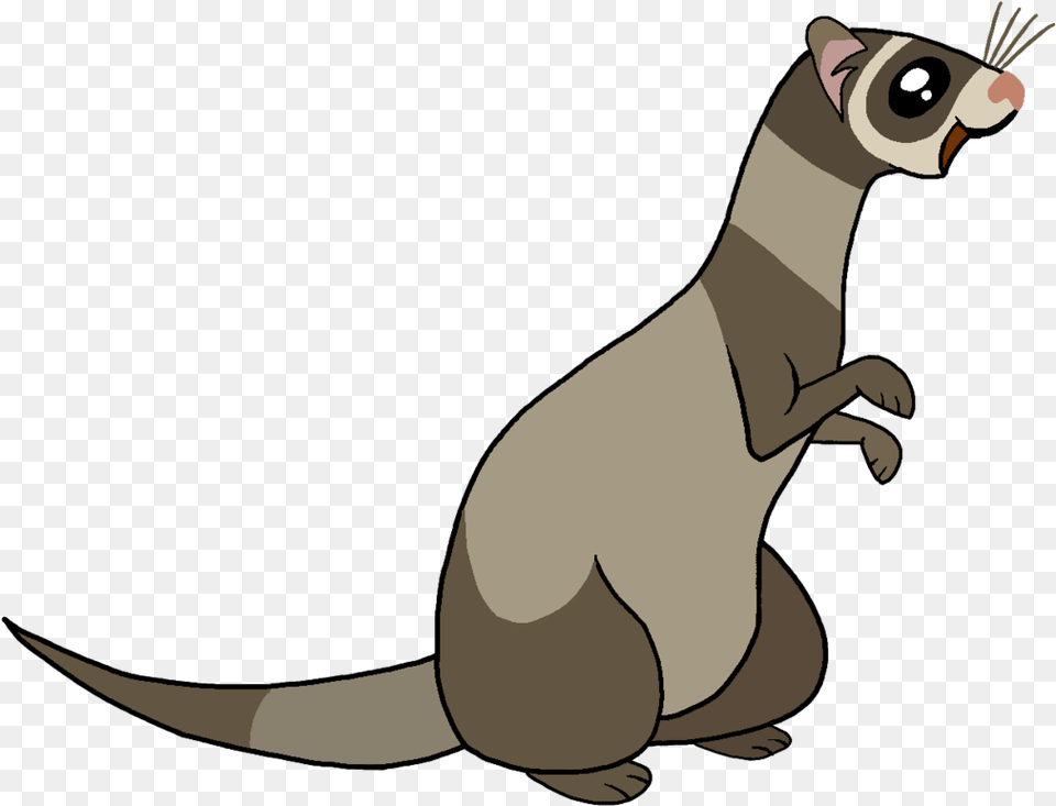 My Little Pony Ferret, Animal, Mammal, Adult, Female Free Png Download