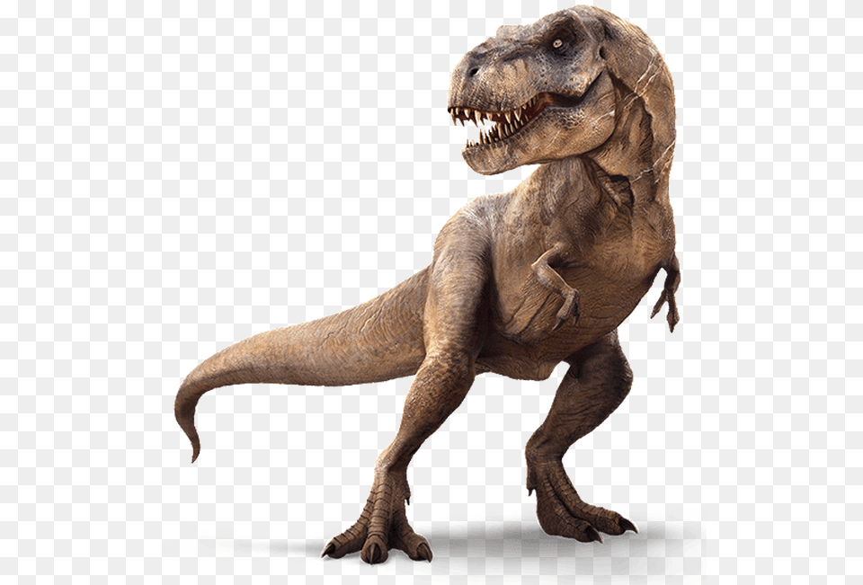 My New Channel Imagenes De Dinosaurios 3d, Animal, Dinosaur, Reptile, T-rex Free Png Download