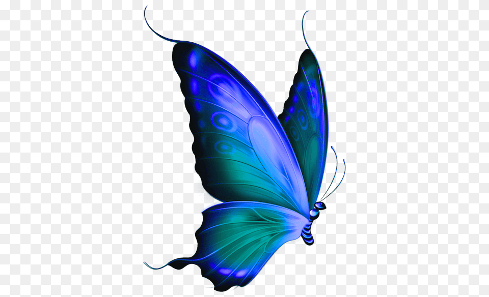 My Next Tatt Butterfly, Art, Graphics, Animal, Insect Png