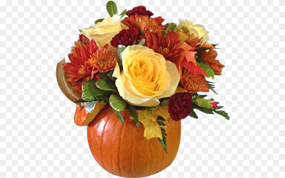 My Pretty Pumpkin Garden Roses, Flower, Flower Arrangement, Flower Bouquet, Plant Free Transparent Png