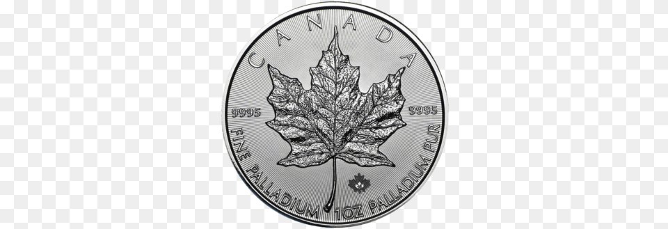 My Private Bullion Gold Ira Solid, Leaf, Plant, Silver, Coin Free Png Download