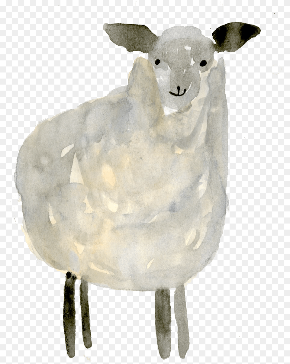 My Process Included Sketching The Illustration Out Sheep, Livestock, Animal, Mammal, Adult Free Png Download