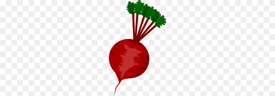 My Revenge Almost Iowa, Food, Produce, Plant, Radish Png