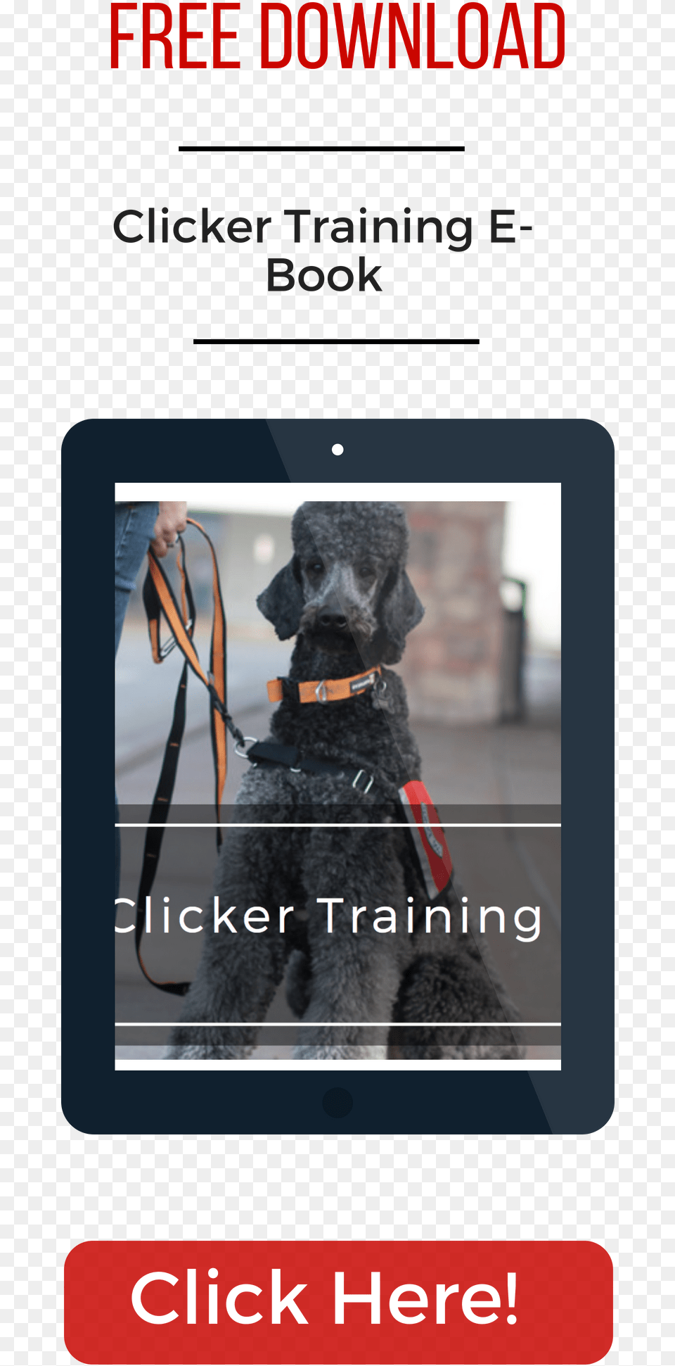 My Service Dog Uam, Accessories, Strap, Animal, Canine Free Png Download