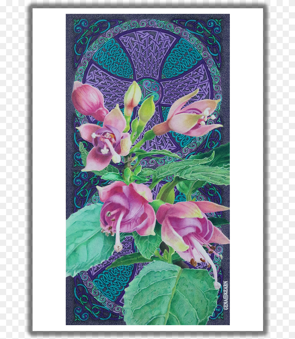 My Souls Confidant Fuschias Greeting Card Rosa Glauca, Flower, Plant, Art, Floral Design Png