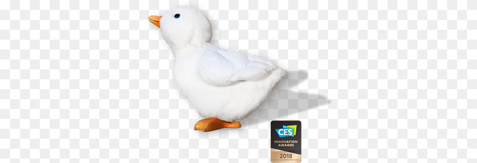 My Special Aflac Duck Won This Year39s Ces 2018 Innovation My Special Aflac Duck, Animal, Bird, Beak Free Png