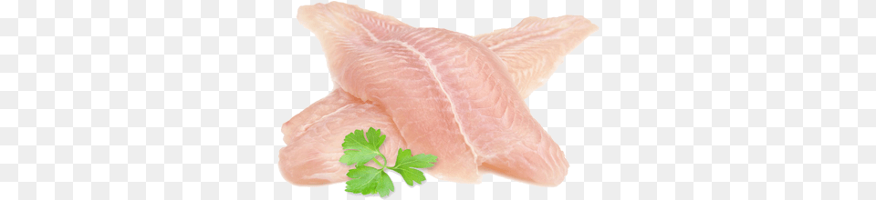 My Twitter Basa Fillets, Herbs, Plant, Food Free Transparent Png