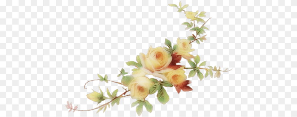 My Website Rose Vine Artificial Flower, Art, Floral Design, Flower Arrangement, Plant Png