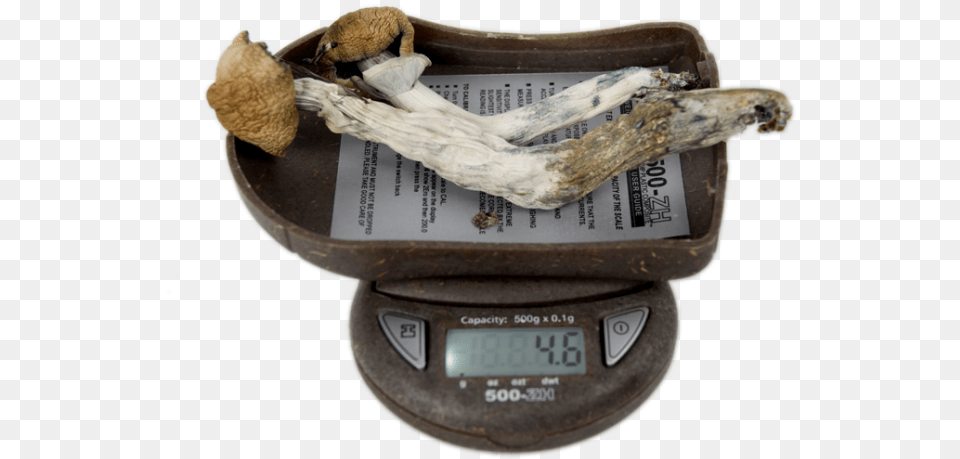 My Weigh 500 Zh Digital Pocket Scale Mushroomstitle Antique, Computer Hardware, Electronics, Hardware, Monitor Free Png