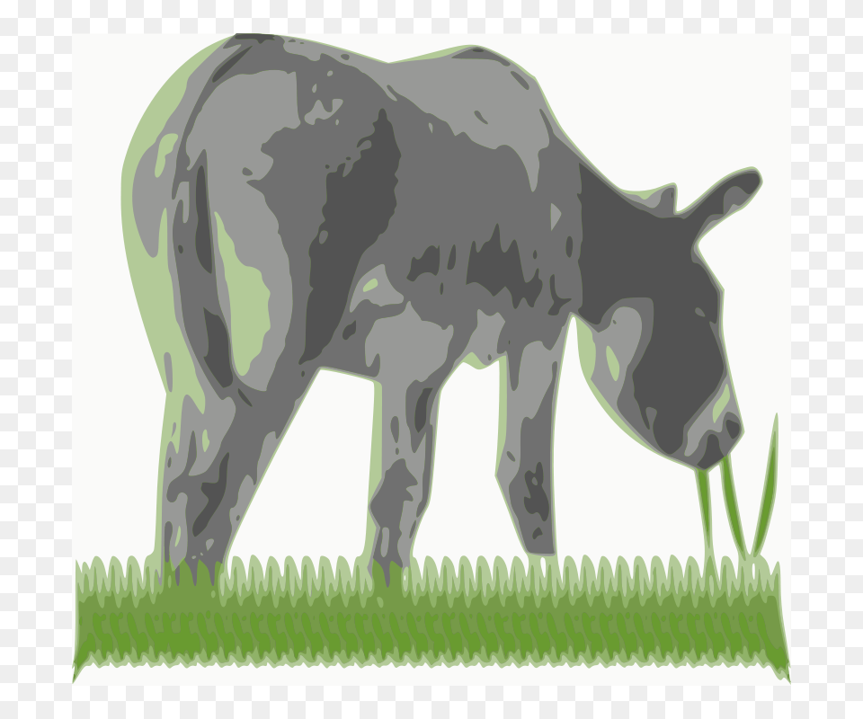 Myassinthegrass, Animal, Donkey, Mammal, Cattle Png Image
