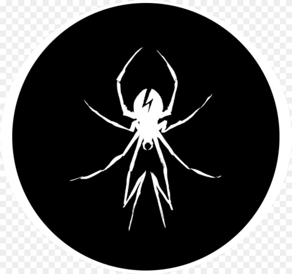 Mychemicalromancemcr My Chemical Romance Wallpaper Spider, Animal, Invertebrate, Garden Spider, Insect Free Png