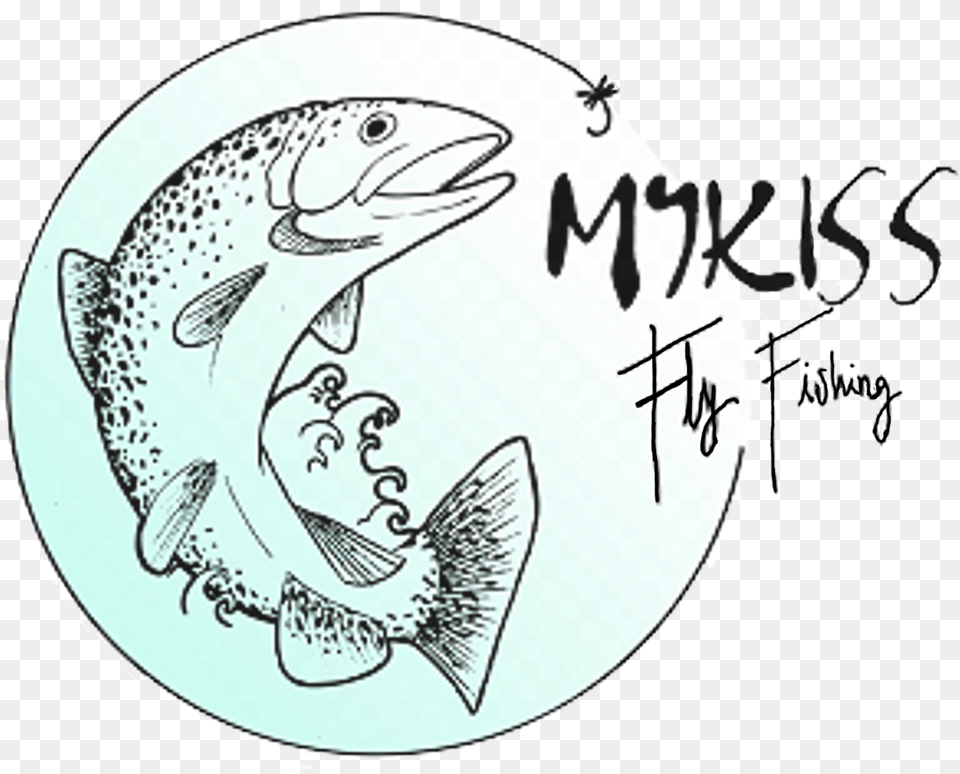 Mykiss Fly Fishing Trout, Animal, Fish, Sea Life, Text Free Png Download