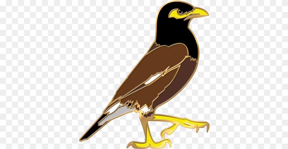 Myna Bird Pin Myna, Animal, Beak, Bow, Weapon Free Png