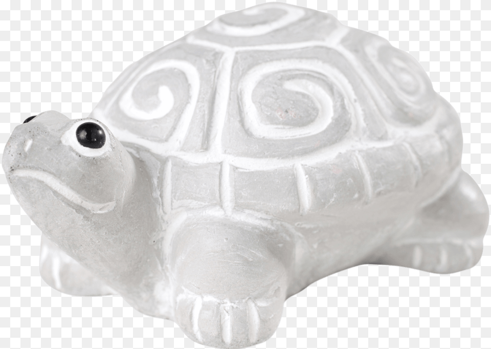 Myrtle Says Slow And Steady Wins The Race Chelonoidis, Pottery, Animal, Reptile, Sea Life Free Png Download