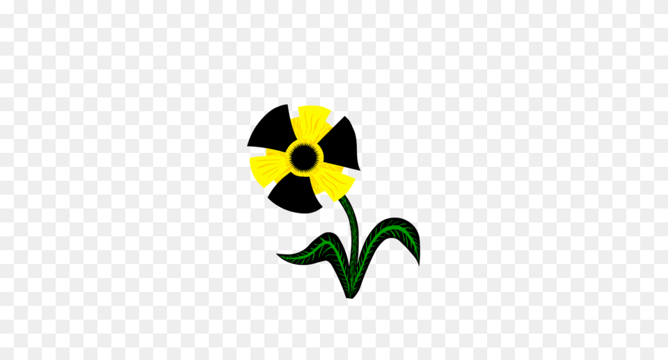 Mysoti, Flower, Plant, Sunflower, Daisy Png Image