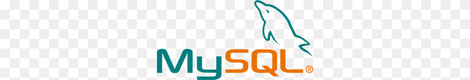 Mysql, Leisure Activities, Person, Sport, Swimming Free Png