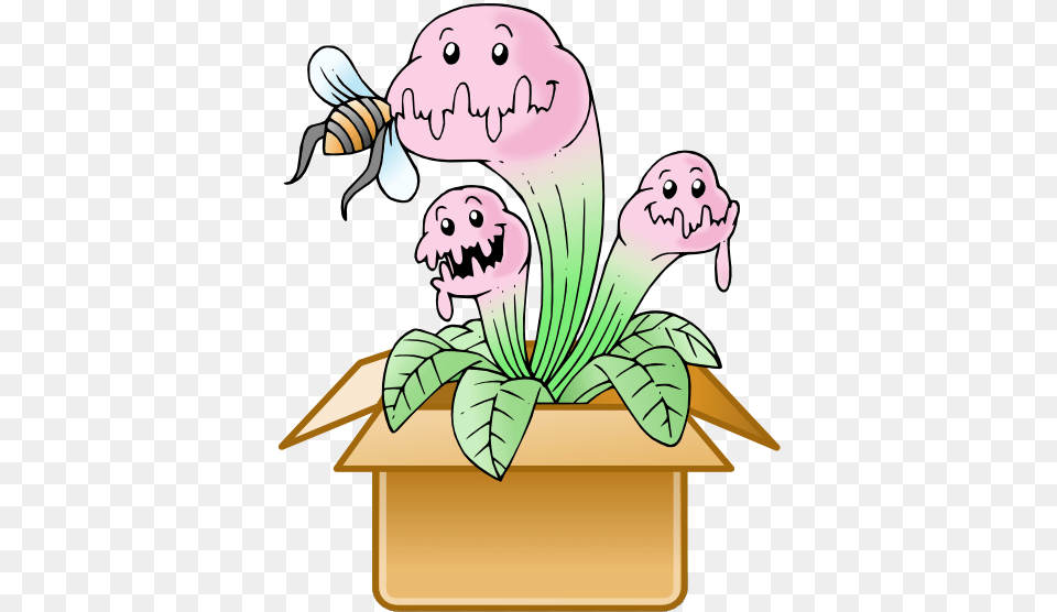 Mystery Boxtitle Mystery Box Venus Fly Trap Cartoon, Adult, Female, Person, Woman Png