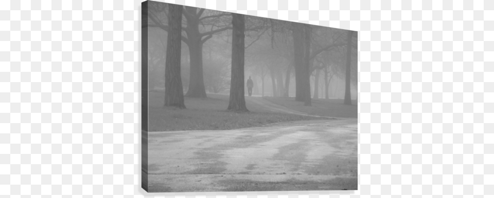 Mystery Fog Man Canvas Print Grove, Nature, Outdoors, Weather, Person Free Transparent Png