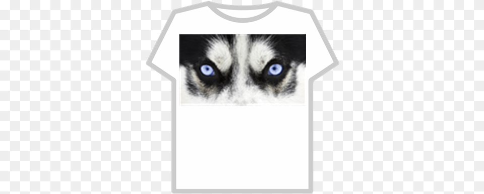 Mystical Blue Wolf Eyes Roblox La Mirada De Un Animal, Canine, Clothing, Dog, Husky Png Image