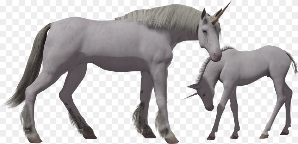 Mythical Realistic Unicorn Clipart, Animal, Horse, Mammal, Andalusian Horse Png Image