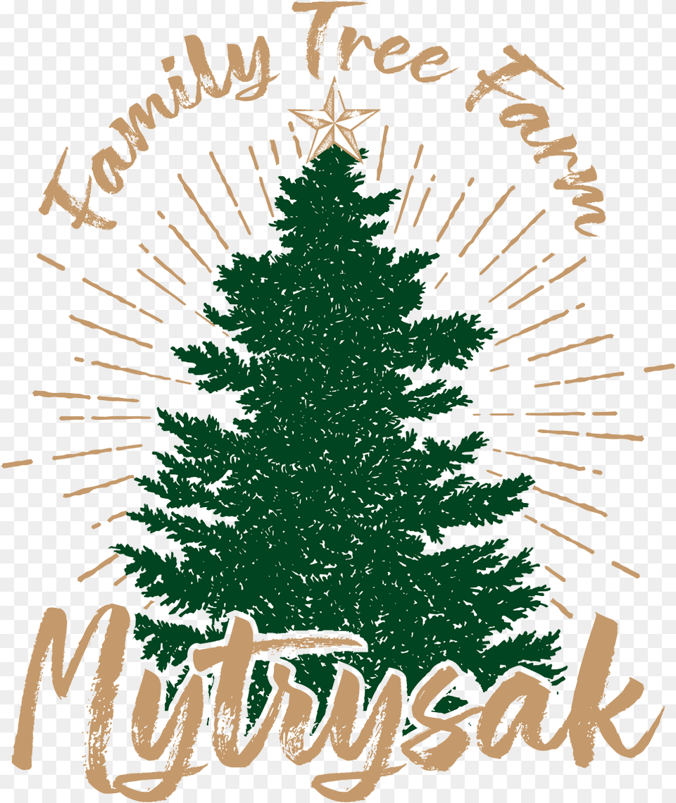 Mytrysak Family Tree Farm Logo Christmas Tree, Plant, Christmas Decorations, Festival, Pine Png