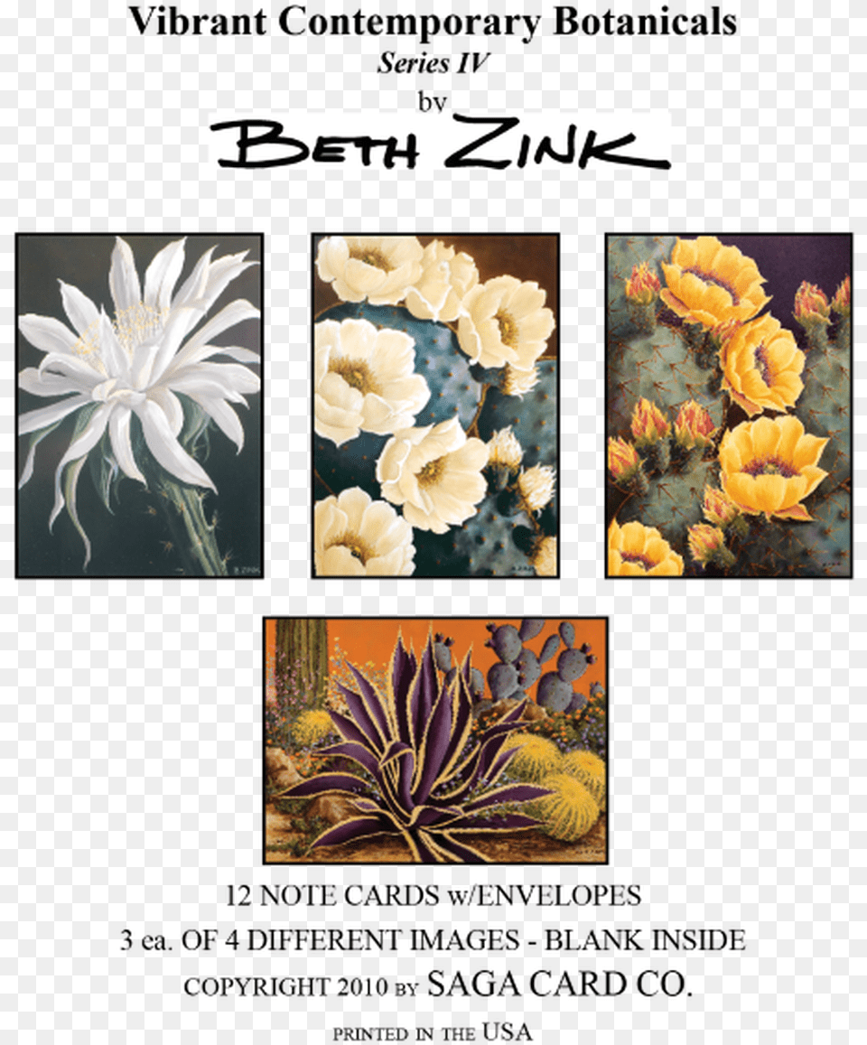 N A28 Series Iv By Beth Zink Aletris, Plant, Art, Collage, Daisy Free Png