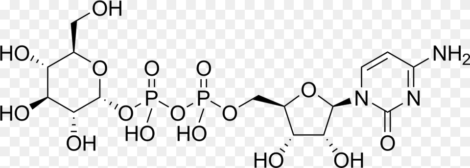 N Acetyl Glucosamine Free Transparent Png