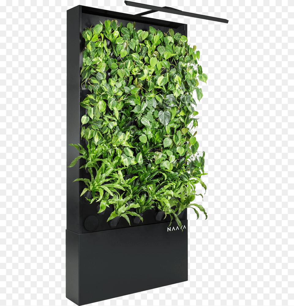Naava One Slim Graphite Black Oblique Vertical Garden Houseplant, Jar, Plant, Planter, Potted Plant Free Transparent Png