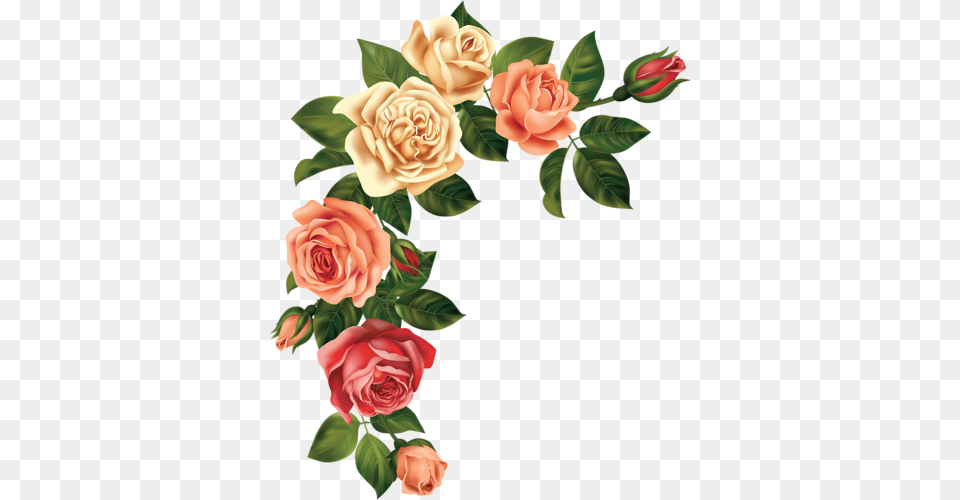 Nabory Art Rose Flowers Rose, Flower, Plant, Flower Arrangement, Flower Bouquet Free Png Download