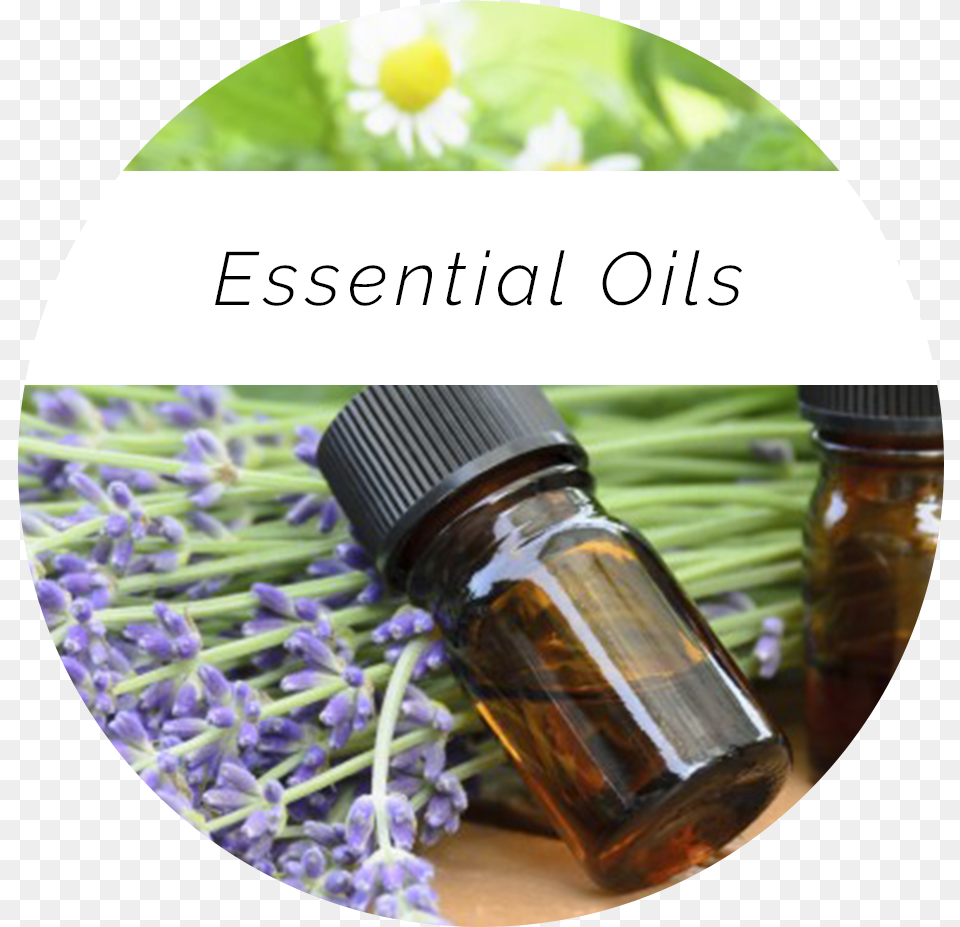 Nadia Sidebar Oils Huiles Essentielles Conseil Aromatherapie, Herbal, Herbs, Plant, Flower Png
