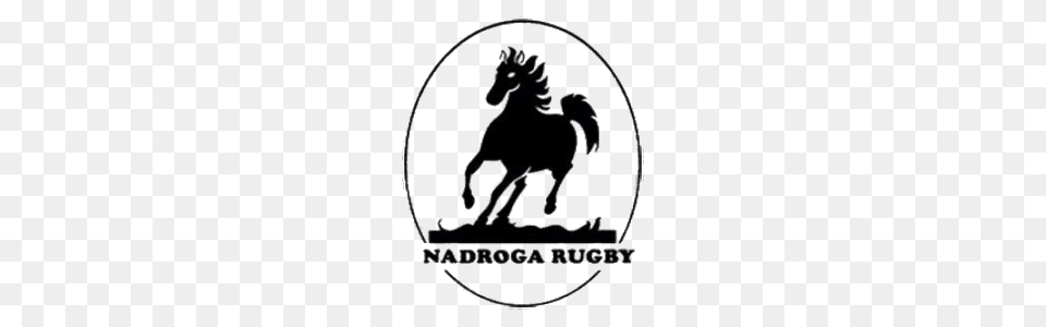 Nadroga Rugby Logo, Animal, Colt Horse, Horse, Mammal Png