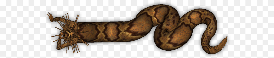 Naga Dig 6 Lyre Snake, Animal, Reptile, Rock Python Png
