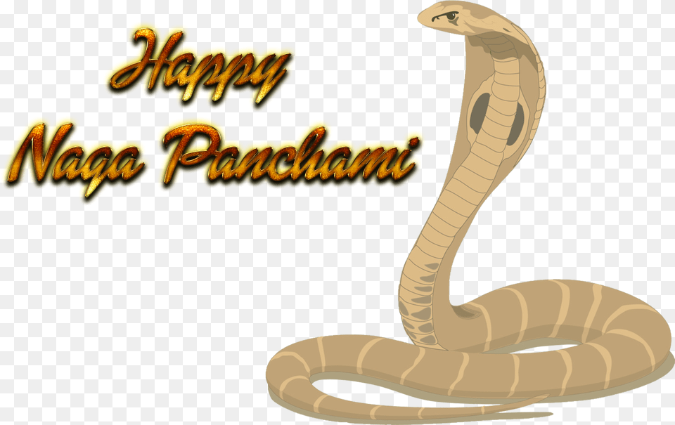 Naga Panchami Transparent Images King Cobra Clip Art, Animal, Reptile, Snake Png Image