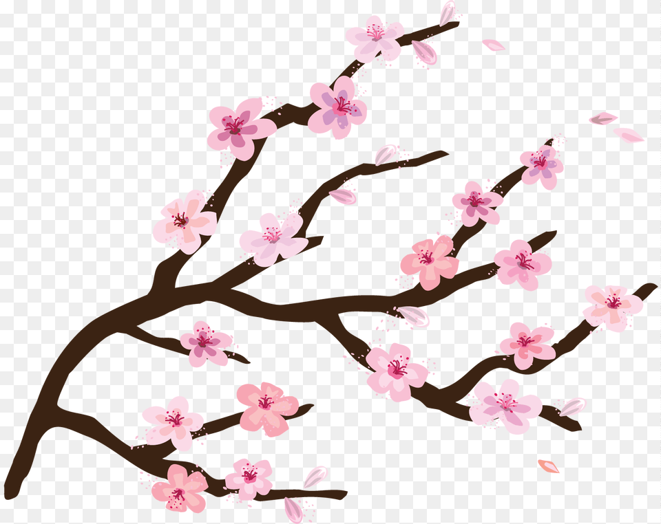Nail Art, Flower, Plant, Cherry Blossom, Person Free Png