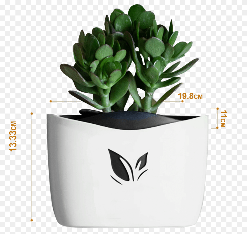 Nail Hanging Plant Pots White White Flower Pot, Jar, Planter, Potted Plant, Pottery Free Transparent Png