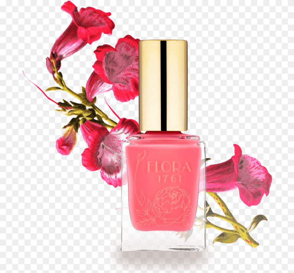 Nail Lacquer In Bougainvillea Nail Polish, Cosmetics, Bottle, Perfume, Flower Free Png Download