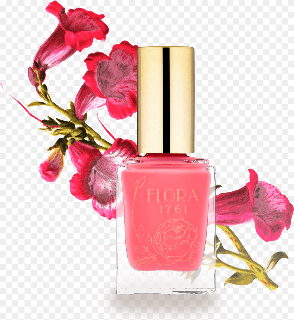 Nail Lacquer In Bougainvillea Nail Polish, Cosmetics, Flower, Petal, Plant Free Transparent Png