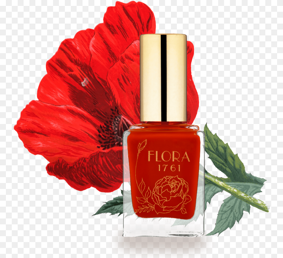 Nail Lacquer In Flanders Poppy Nail Polish, Bottle, Cosmetics, Perfume, Flower Free Png