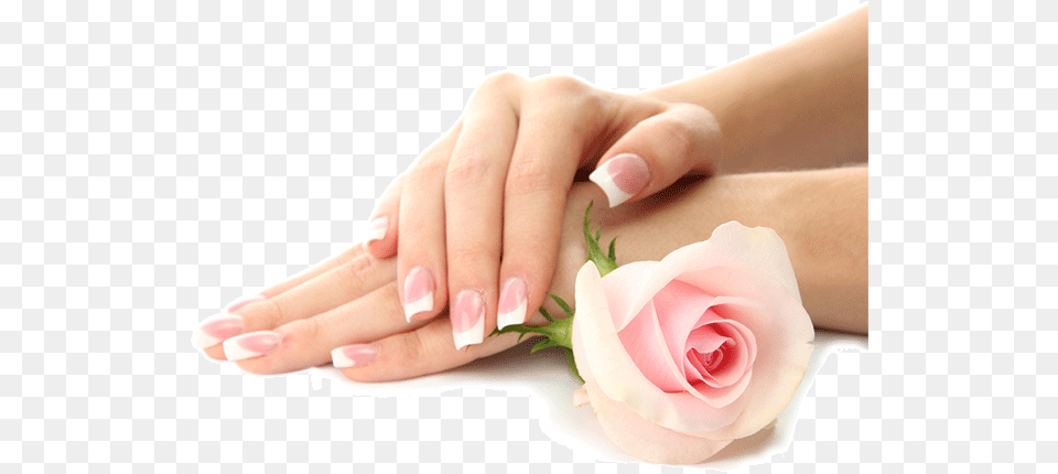 Nail Manicure, Body Part, Finger, Flower, Hand Free Transparent Png