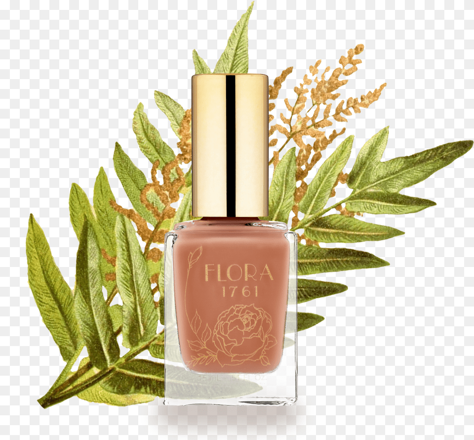 Nail Polish, Cosmetics, Plant Free Transparent Png