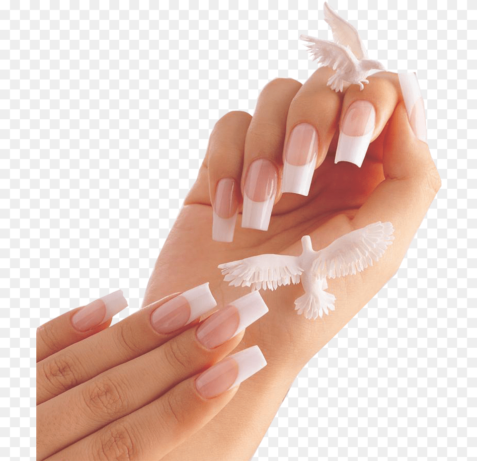 Nail Salon, Body Part, Hand, Manicure, Person Png