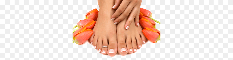 Nails, Body Part, Hand, Nail, Person Png Image