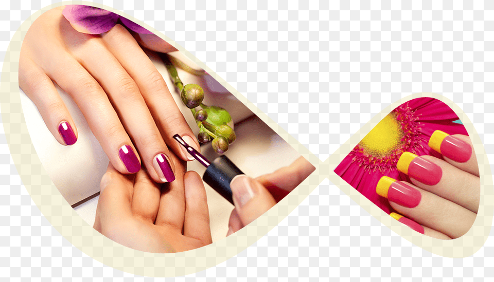 Nails, Body Part, Hand, Manicure, Nail Png Image