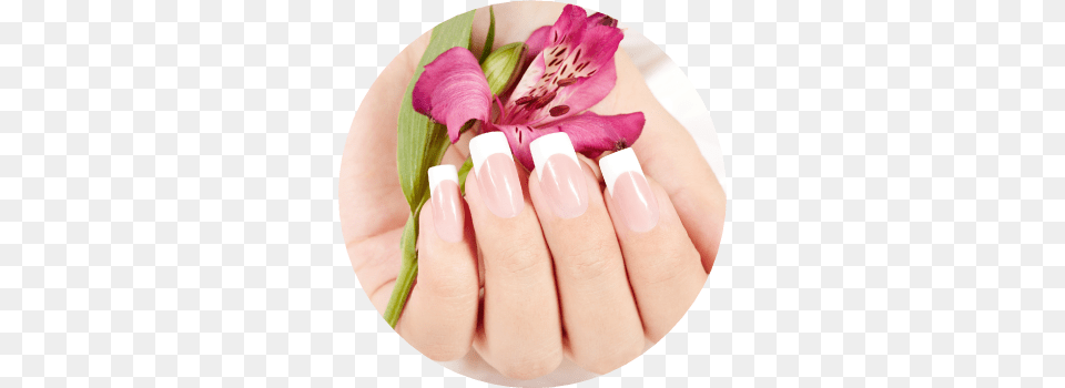 Nails, Body Part, Hand, Manicure, Nail Free Png